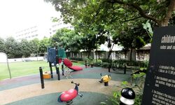 Soleil @ Sinaran (D11), Condominium #586152391